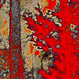 A Touch of Autumn Abstract VII by David Patterson