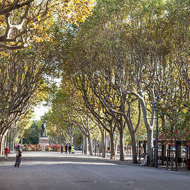 A Tree Lined Esplanade by W Chris Fooshee