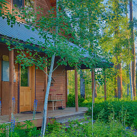 A View of A Cottage With Aspen Trees by Omaste Witkowski