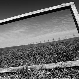 A View Through The Window by Marcin Delektowski