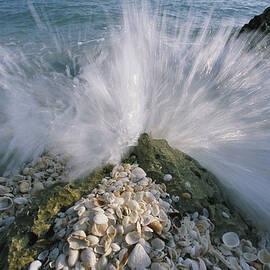 A Wave Crashes Over Shells On A Beach by Peter Essick