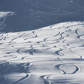 Abstract Pattern Of Ski Lines On Slope by Gerhard Fitzthum