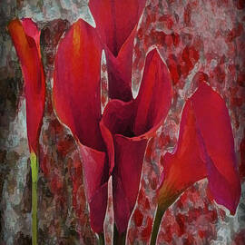 Abstract Red Lillies