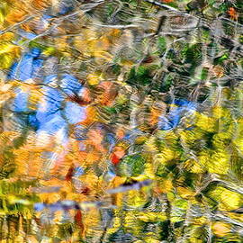 Abstracts of Nature