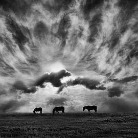 Against an angry sky. by Adrian Campfield