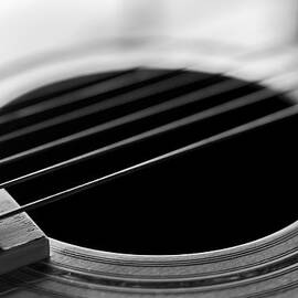 Acoustic Guitar Strings Black and White by Terry DeLuco