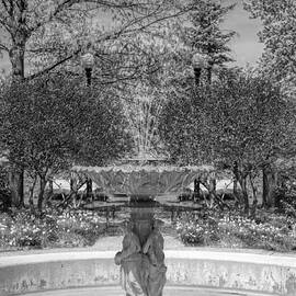 Adams Park Fountain Black and White by Christopher Arndt
