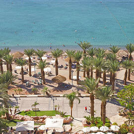 Aerial View Of Palms, Promenade And Red by Barry Winiker