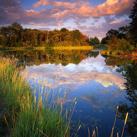 After the Storm by Ray Mathis