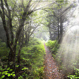 Appalachian Trail by Debra and Dave Vanderlaan