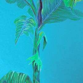Aqua Palm by Mindy Newman