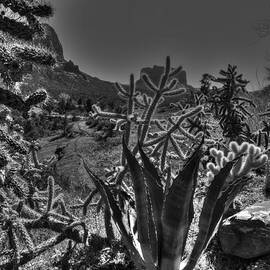 Arizona Bell Rock Valley n9 by John Straton