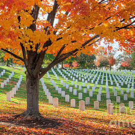Arlington National Cemetery in Autumn I by Clarence Holmes