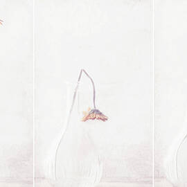 Ars Longa, Vita Brevis... by Delphine Devos