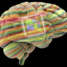 Artificial Intelligence And Cybernetics by Science Photo Library