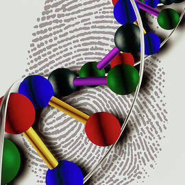 Artwork Of Dna With Base Pairs On A Fingerprint by Science Photo Library