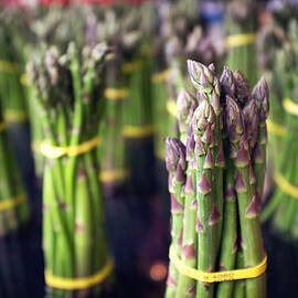 Asparagus by Tanya Harrison