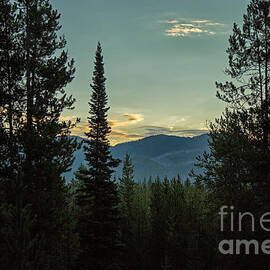 August Morning in Montana by Natural Focal Point Photography