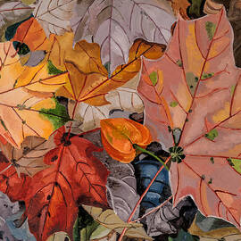 Automn 2012 by Robin and Mouse Grass
