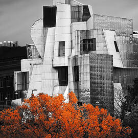 autumn at the Weisman by Matthew Blum