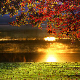 Autumn Delight by Rob Blair