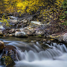 Autumn Falls by Tayne Hunsaker