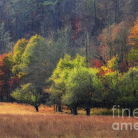 Autumn Field by Jill Lang