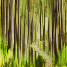 AUTUMN FOREST ABSTRACT VERSION 3 by Thomas Young