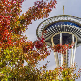 Autumn in Seattle by Kyle Wasielewski