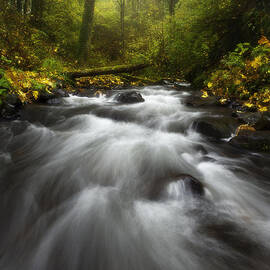 Autumn Rush by Darren White