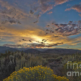 Autumn Sunset by Dianne Phelps