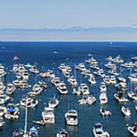 Avalon harbor Catalina Pano by David Zanzinger