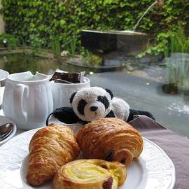 Baby Panda And Croissant Rolls by Ausra Huntington nee Paulauskaite