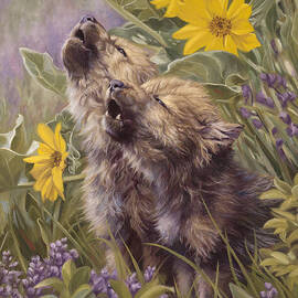 Baby Wolves Howling by Lucie Bilodeau