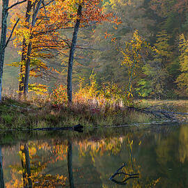 Backlit Trees On Lake Ogle In Autumn by Chuck Haney