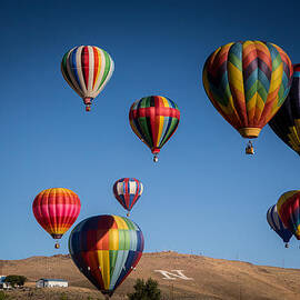 Balloons over Northern Nevada by Janis Knight