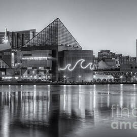 Baltimore National Aquarium at Dawn IV by Clarence Holmes