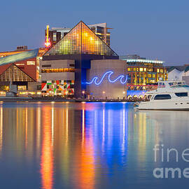 Baltimore National Aquarium at Twilight I by Clarence Holmes