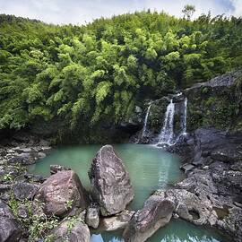 Bamboo Forest Waterfall by M Swiet Productions