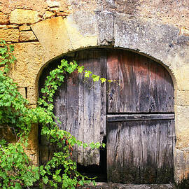 Barn Door in France by Georgia Clare