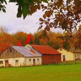 Barn In The Country