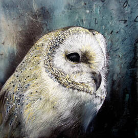 Barn Owl