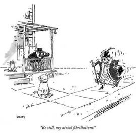 Be Still, My Atrial Fibrillations! by George Booth