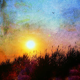 beach dune by Laura Fasulo