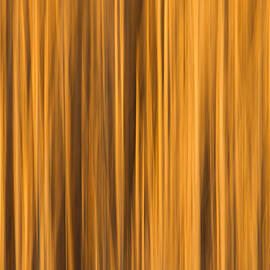Beach Grass Abstract by Bryan Bzdula