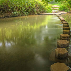 Beautiful forest scene of enchanted stream flowing through lush  by Matthew Gibson