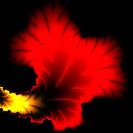 Beautiful red and yellow floral fractal artwork square format by Matthias Hauser