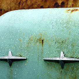 Beauty with Age by Jean Noren