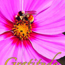 Gratitude by ABeautifulSky Photography by Bill Caldwell