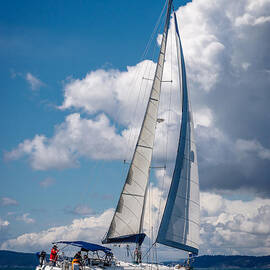 Beneteau 50' sailboat 1 by Mike Penney